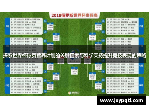 探索世界杯球员营养计划的关键因素与科学支持提升竞技表现的策略