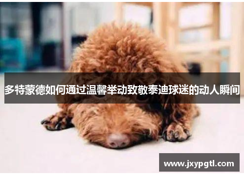 多特蒙德如何通过温馨举动致敬泰迪球迷的动人瞬间