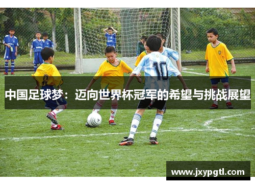 中国足球梦：迈向世界杯冠军的希望与挑战展望